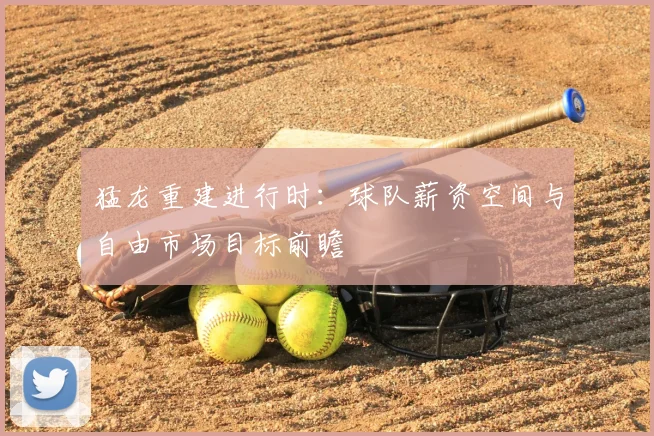 猛龙重建进行时：球队薪资空间与自由市场目标前瞻